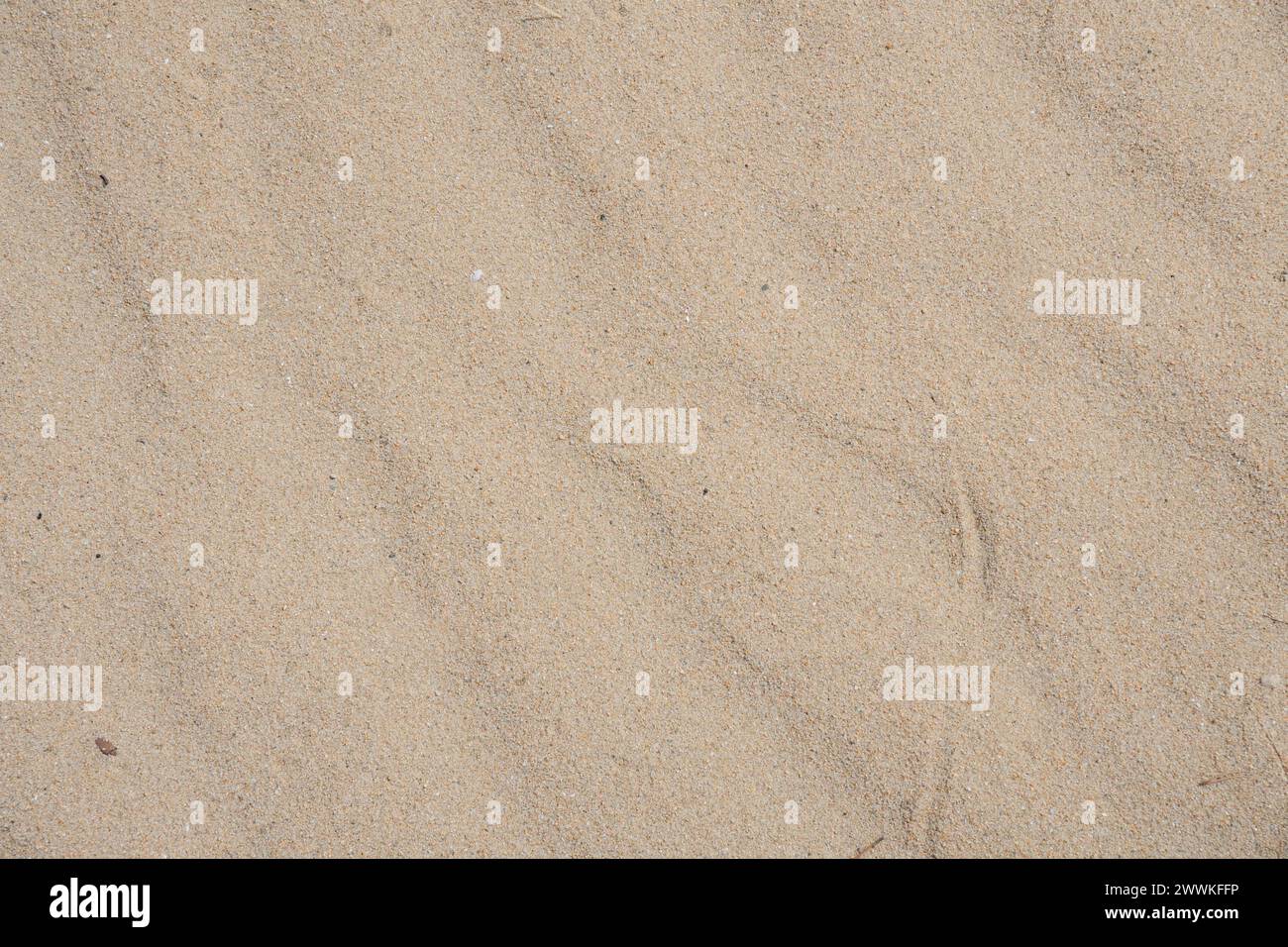 Summer beach sand texture background Stock Photo