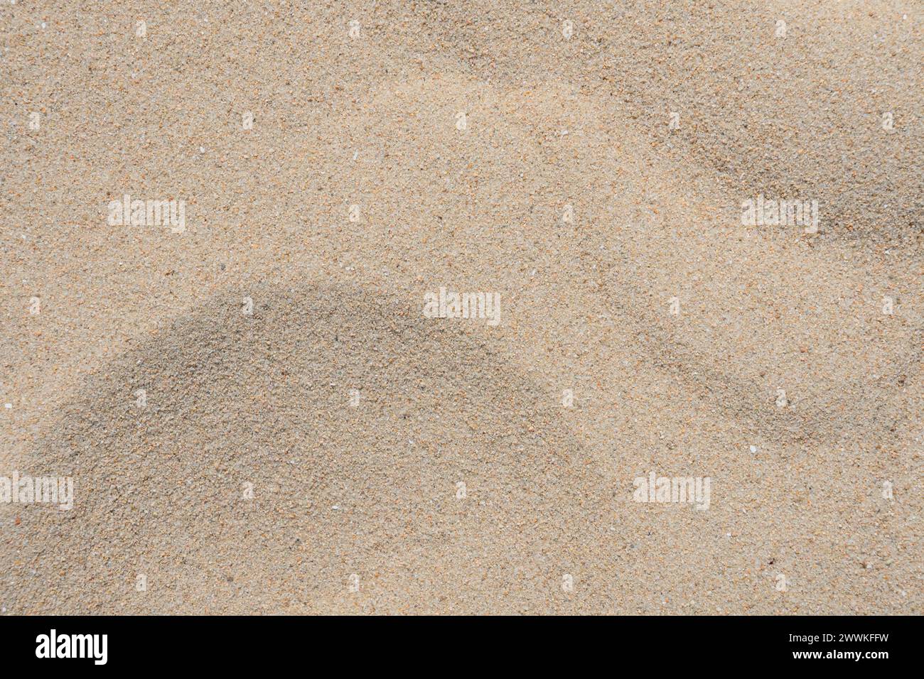 Summer beach sand texture background Stock Photo