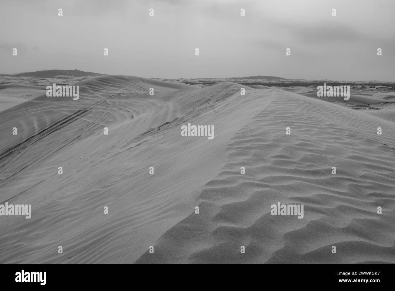 The sand hills in Ba Dan Ji Lin desert of Inner Mongolia, China. Black and white Stock Photo