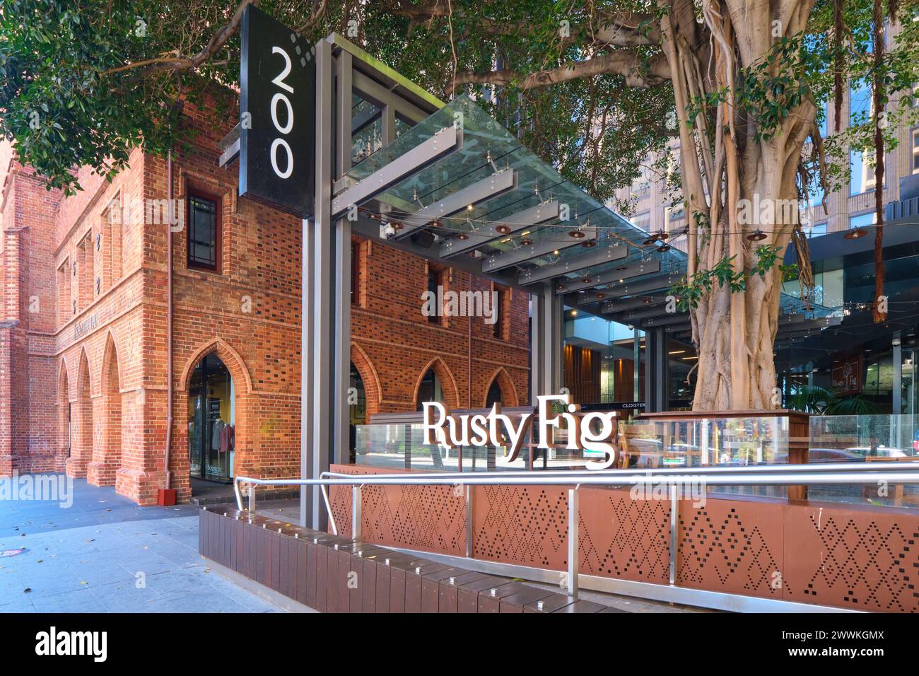 The Rusty Fig restaurant with an old Port Jackson Fig Tree next to the ...