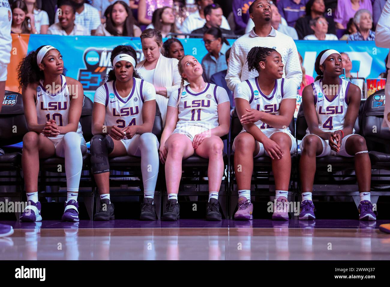 Baton Rouge, LA, USA. 24th Mar, 2024. LSU's starting lineup including Angel Reese (10), Aneesah Morrow (24), Hailey Van Lith (11), Mikaylah Williams (12) and Flau'jae Johnson (4) sit and watch the highlights prior to second round action of the NCAA Women's March Madness Tournament between the Middle Tennessee Blue Raiders and the LSU Tigers at the Pete Maravich Assembly Center in Baton Rouge, LA. Jonathan Mailhes/CSM/Alamy Live News Stock Photo