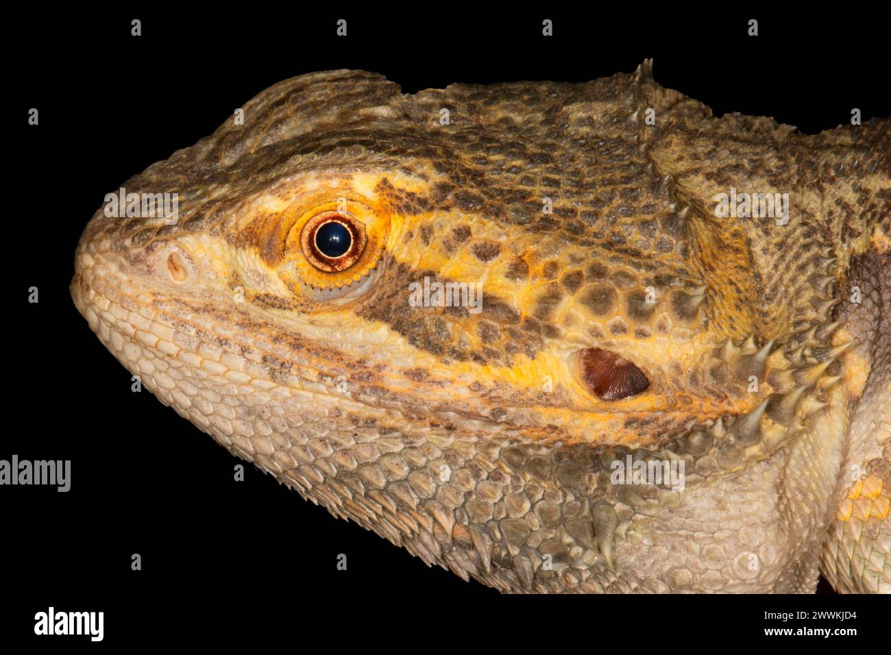 Central states fairgrounds hires stock photography and images Alamy