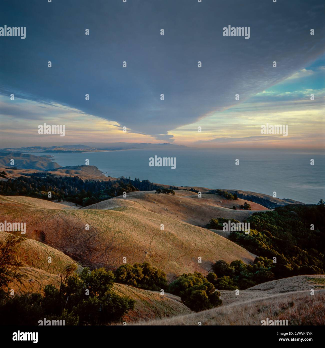 Coastline, Bolinas Ridge, San Francisco, Mount Tamalpais State Park, Golden Gate National Recreation Area, Marin County, California Stock Photo