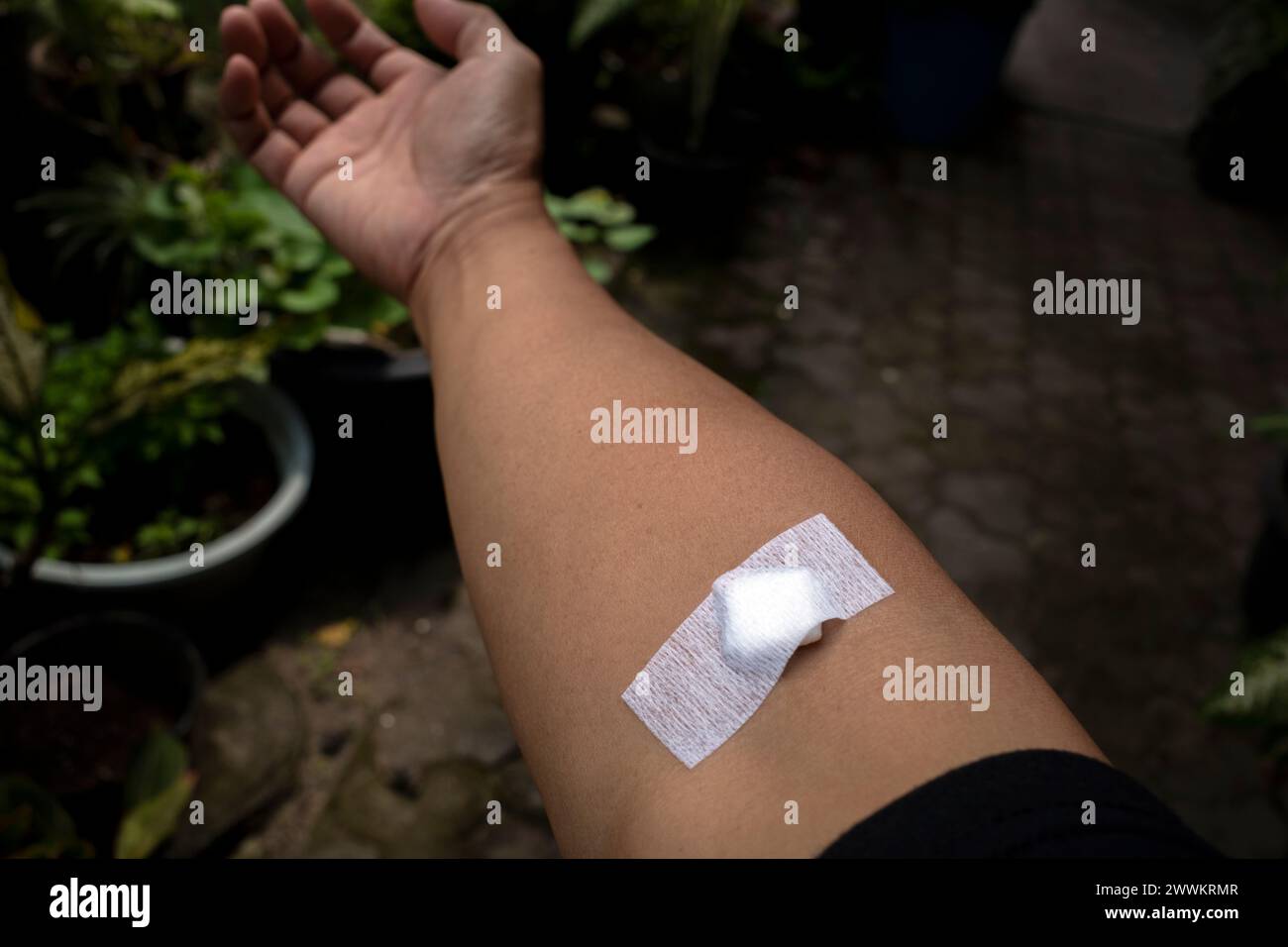 A band aid on right arm after taking blood sample from vein for analysis in medical laboratory. Blood analysis concept. Stock Photo