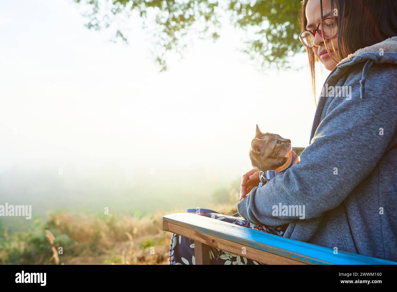 Side view of asian woman sitting on bench with her kitten during misty morning in forest Stock Photo