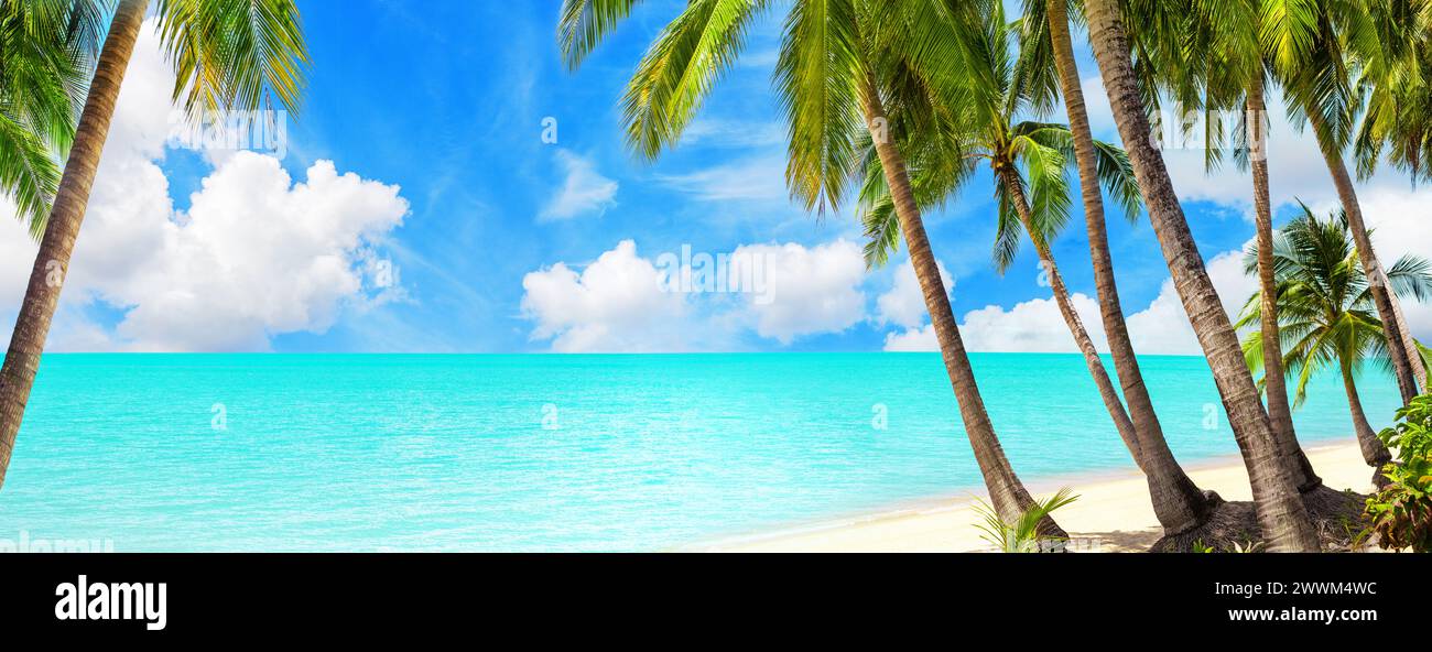 Tropical island paradise sea beach, ocean water, green coconut palm tree leaves, sand, sun blue sky cloud, beautiful nature panorama landscape Stock Photo