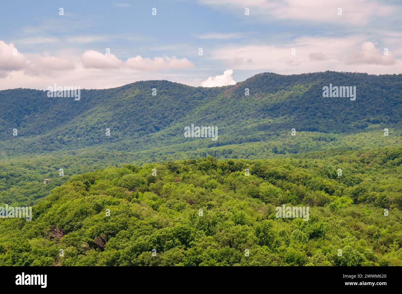 Shenandoah River Raymond R. 'Andy' Guest Jr. State Park in Bentonville, Virginia, USA Stock Photo