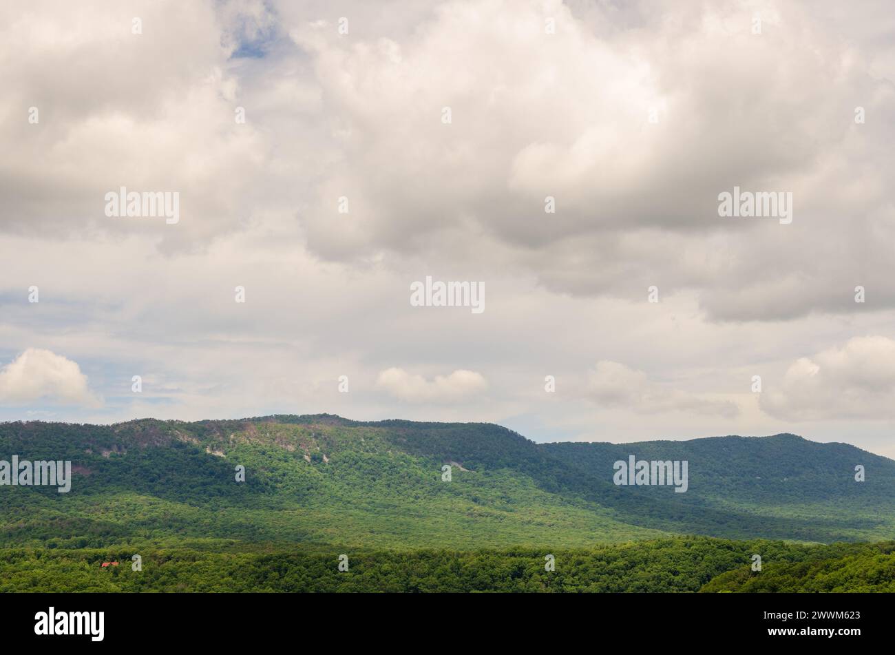 Shenandoah River Raymond R.