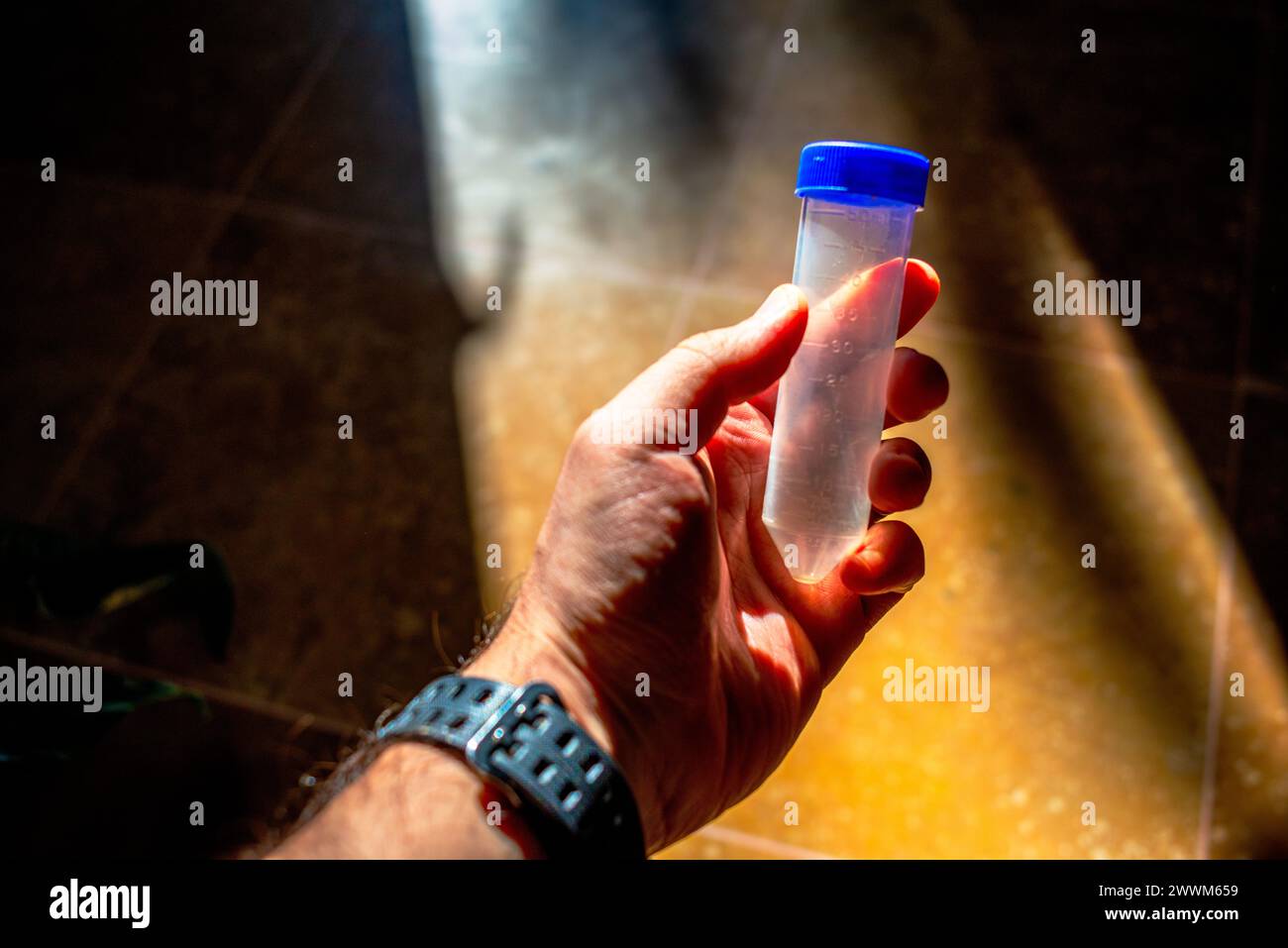 A photo of holding Falcon tube in a sunny lab depicts scientific research and experimentation in a well-lit laboratory setting. Stock Photo