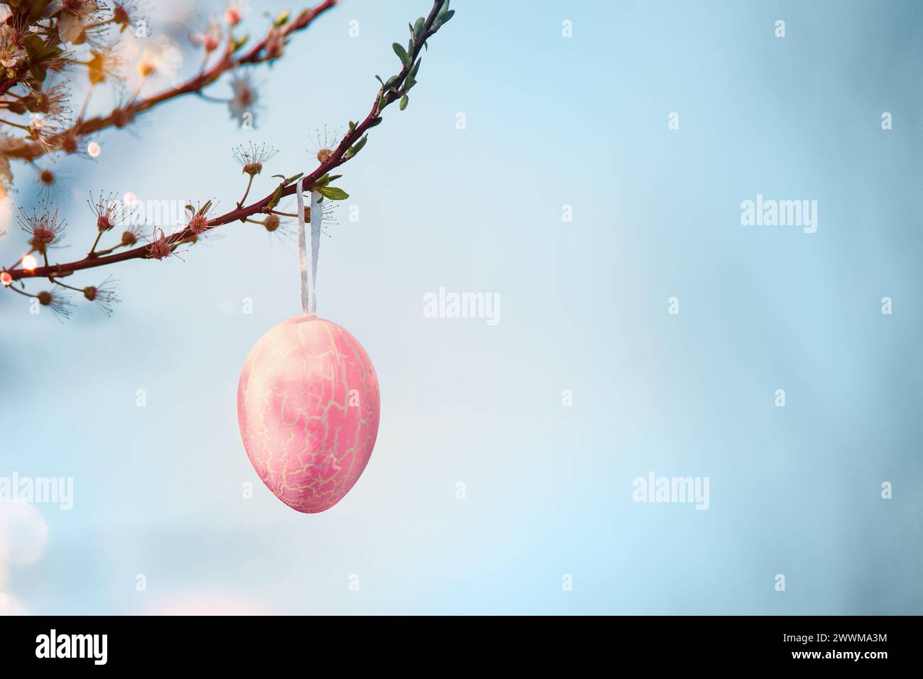 Easter background with hanging Easter egg on blossom branches at blue sky background with sunshine. Outdoor. Stock Photo