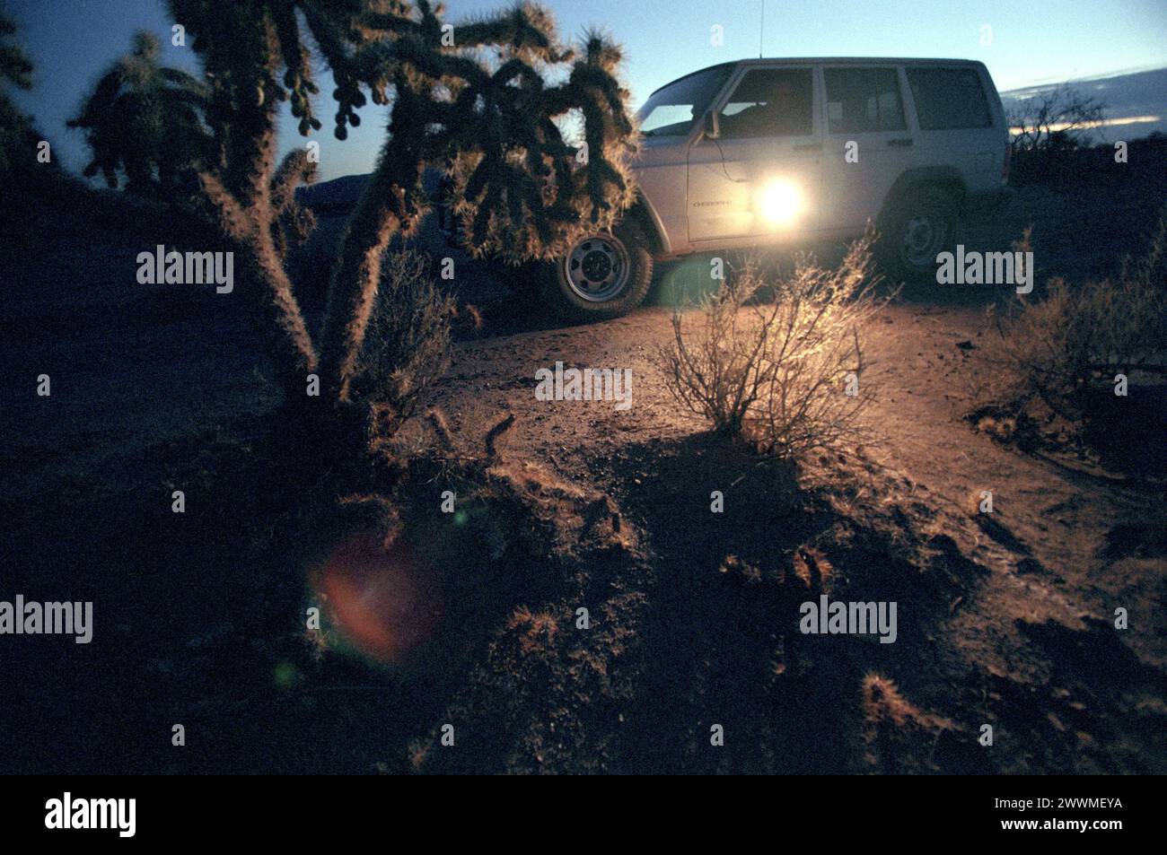 Shadow Wolves Drug Smuggler Trackers Stock Photo - Alamy