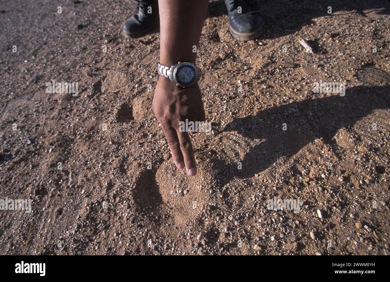 Shadow Wolves Drug Smuggler Trackers Stock Photo - Alamy