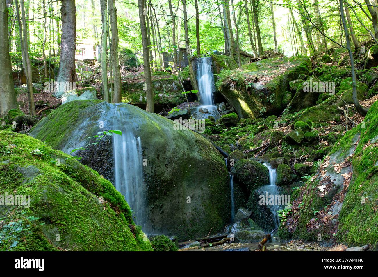 The waterfalls cascading through lush green foliage in a forest Stock ...