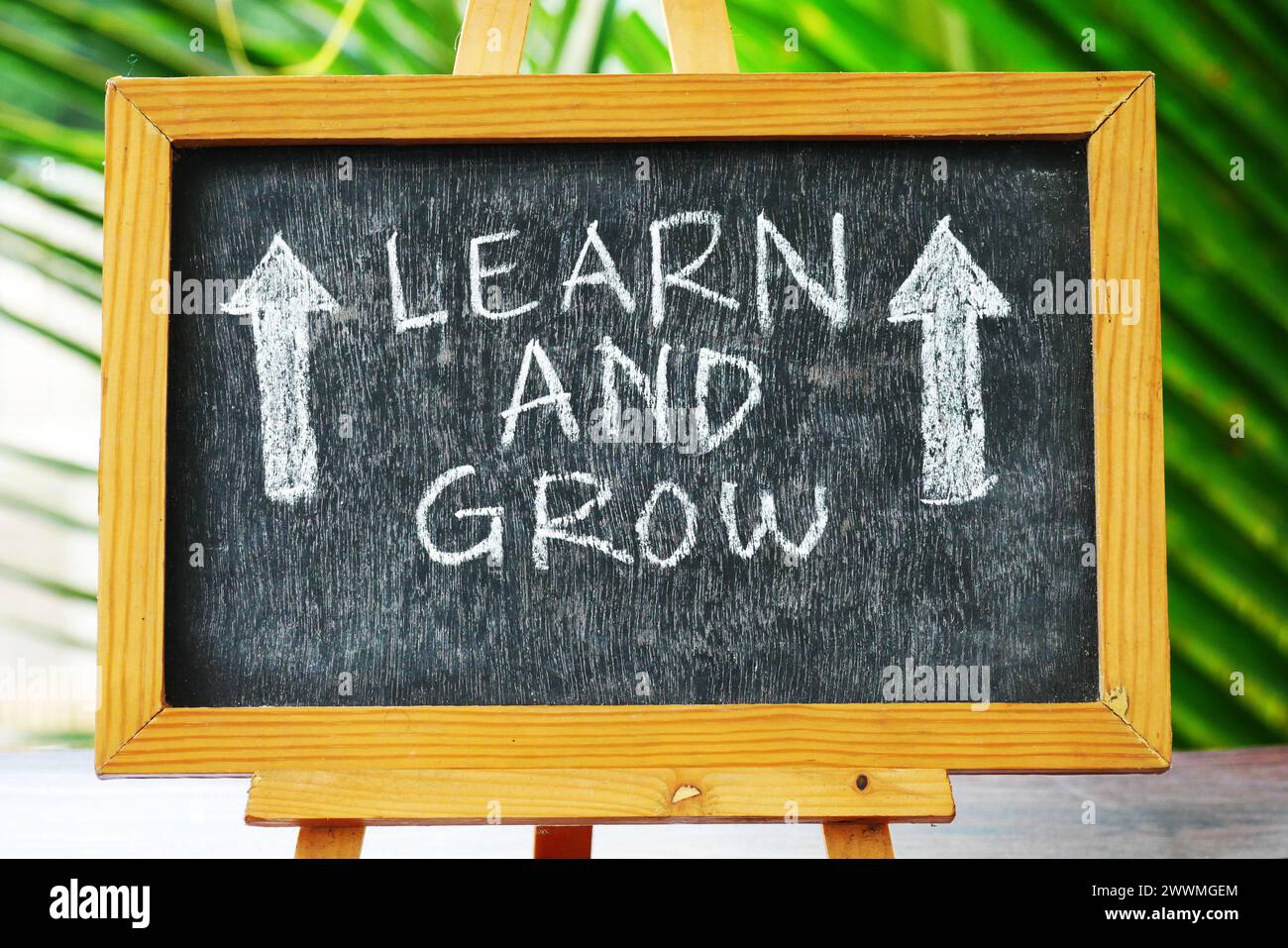 Learn and grow concept on stick note. Word concept Learn and grow on blackboard with nature background Stock Photo