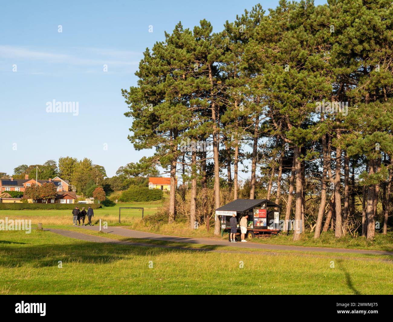 People at a stand with fresh vegetables and potatoes, roadside self-service sale on Tunø island, Midtjylland, Denmark Stock Photo