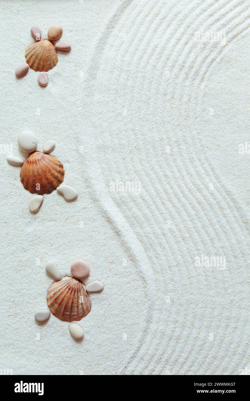 Sandy beach texture. Turtles made from shells and pebbles. Natural textured background. Top view, flat lay. Stock Photo