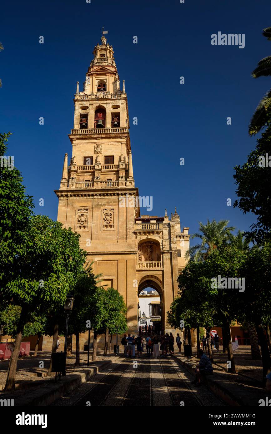 Bell tower - minaret of the Mosque Cathedral of Córdoba (Córdoba, Andalusia, Spain) ESP: Campanario - alminar de la Mezquita Catedral de Córdoba Stock Photo