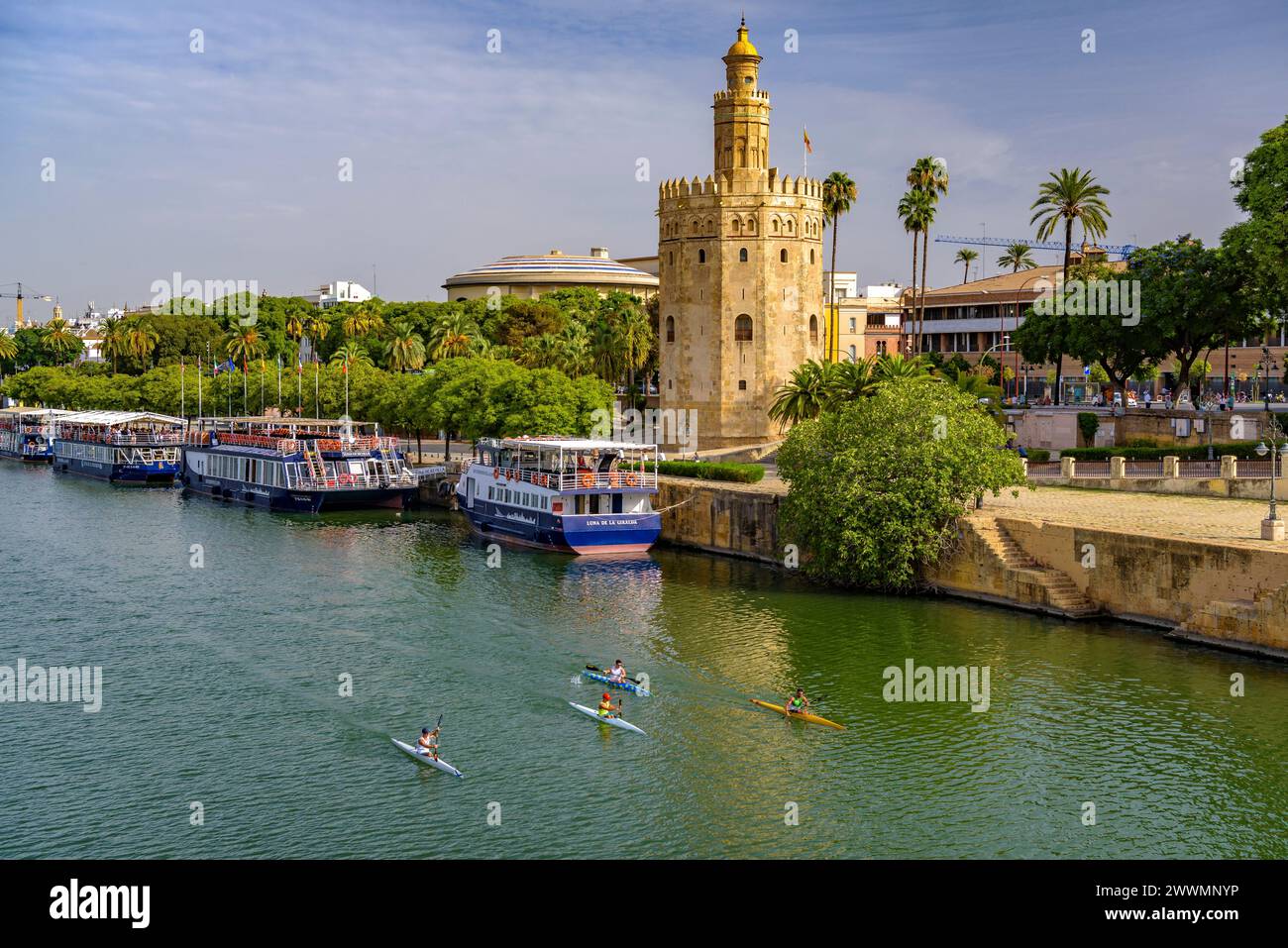 Traditional view of Seville with the Torre del Oro tower and the Guadalquivir river with some rowers (Seville, Andalusia, Spain) Stock Photo