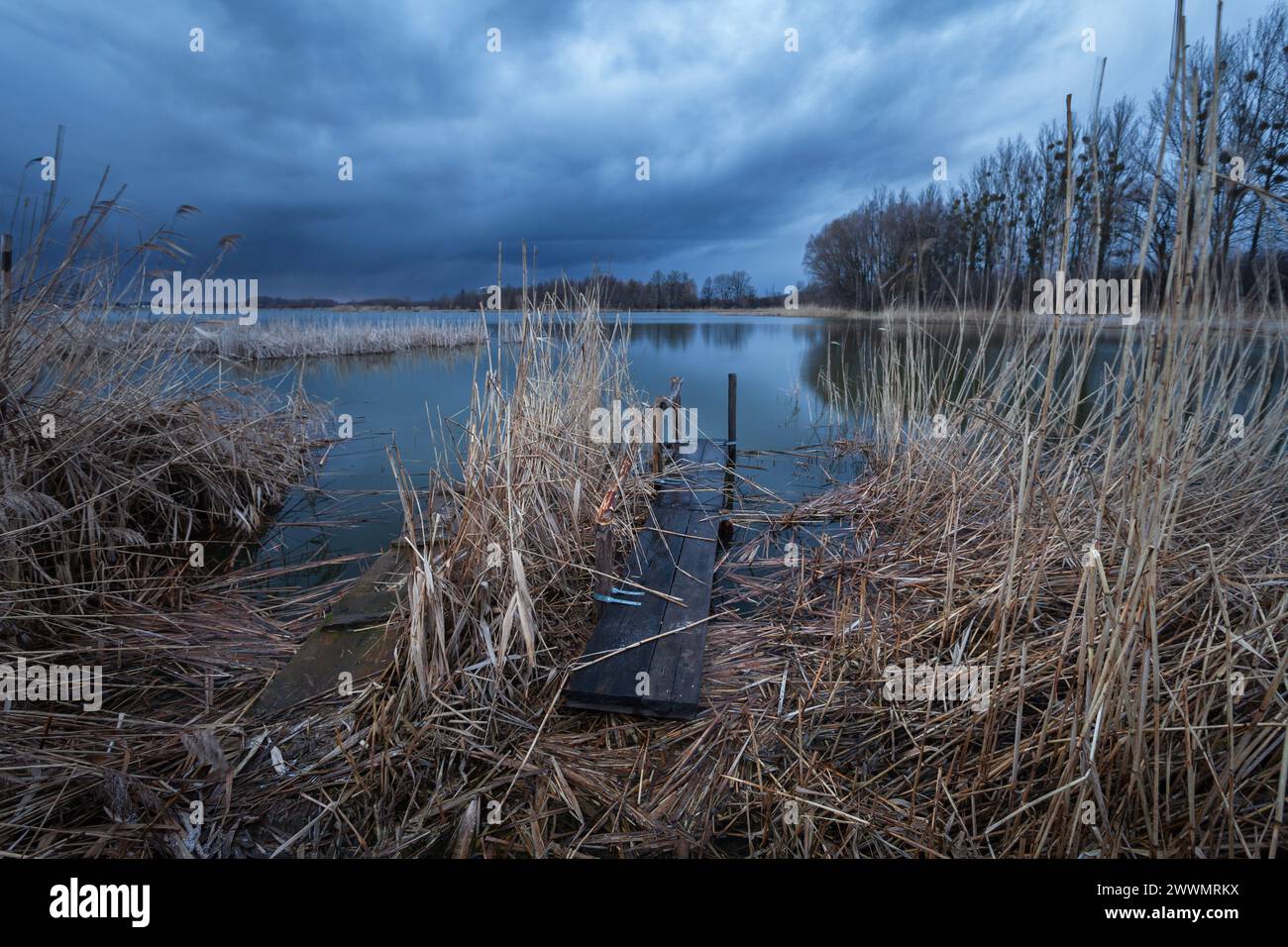 A pier in the reeds and a dark cloudy sky over the lake Stock Photo