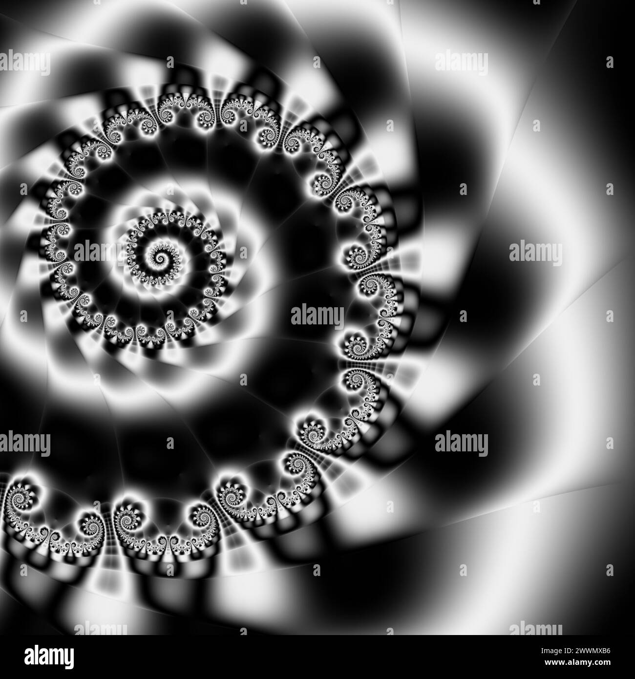 Black and white fractal spiral design, contemporary, modern digital art ...