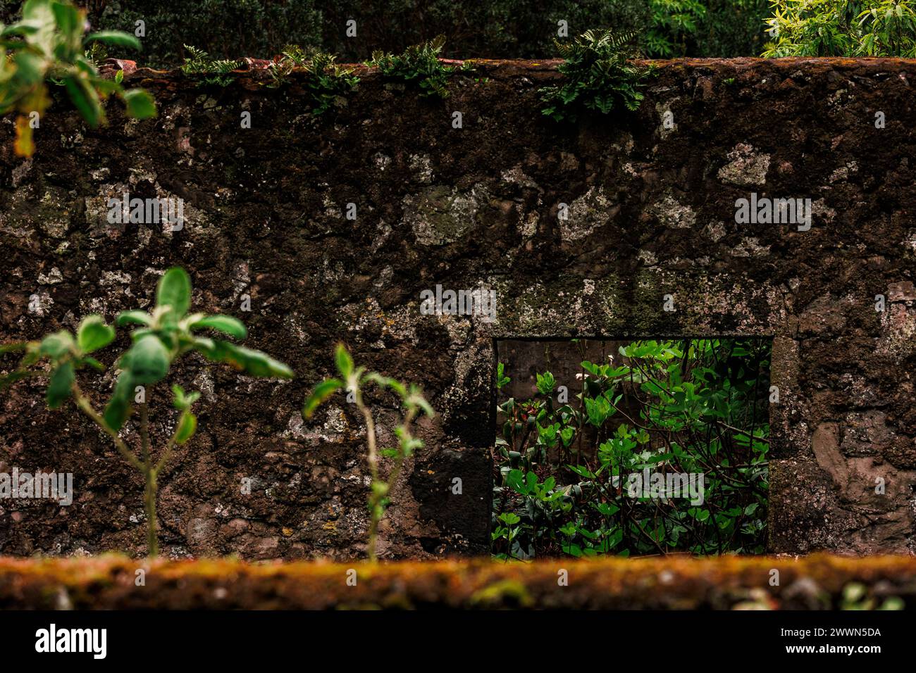 Azorean hi-res stock photography and images - Alamy