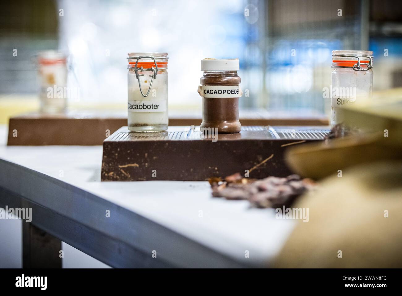 SITTARD - Cocoa beans for the production of chocolate at Rousseau Chocolate. Chocolate products on the shelves have become more expensive due to the increased prices of cocoa and sugar. ANP ROB ENGELAAR netherlands out - belgium out Stock Photo