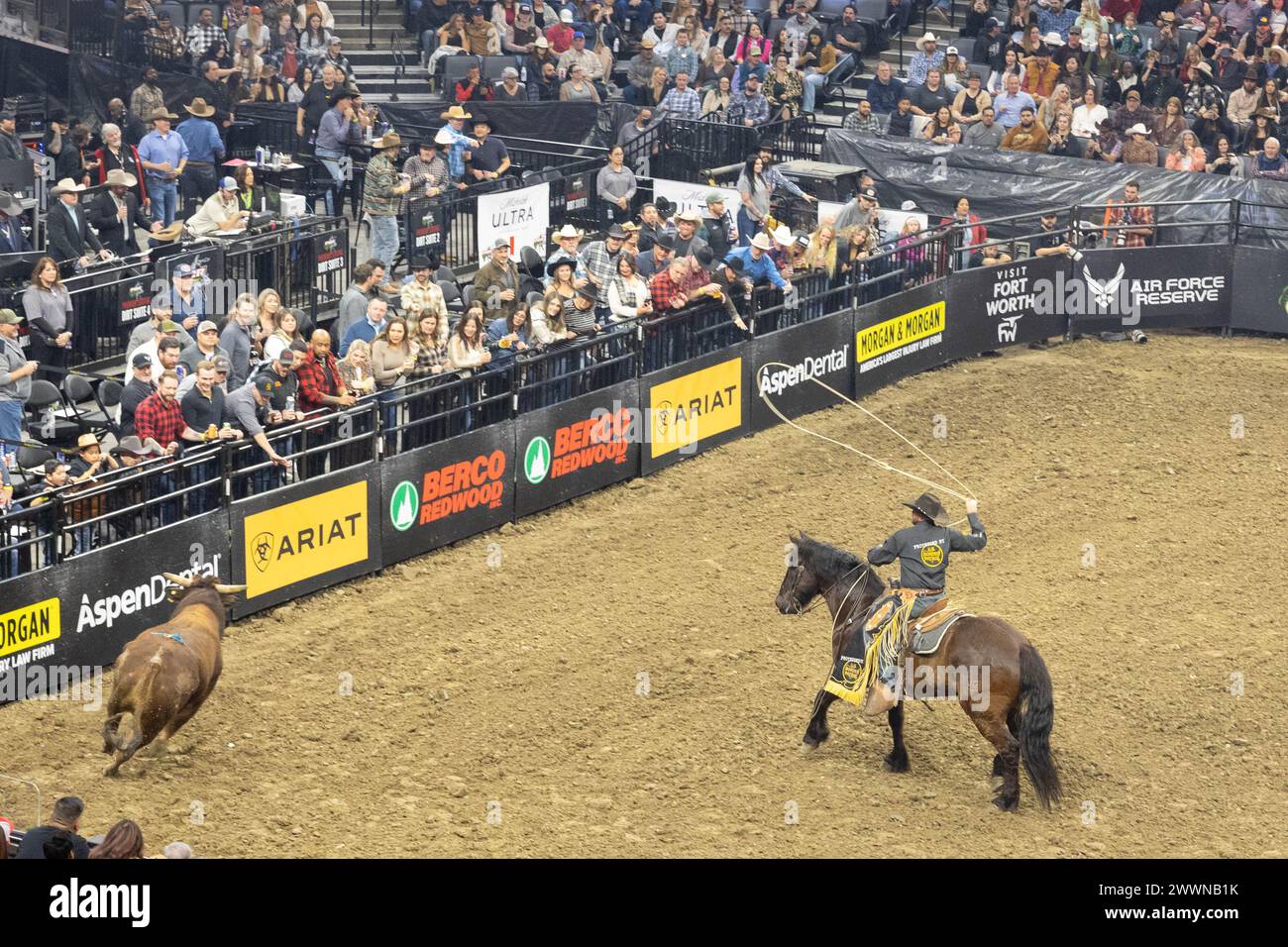 A U.S. Border Patrol bullfighter winds up to lasso a loose bull at the Professional Bull Riders
