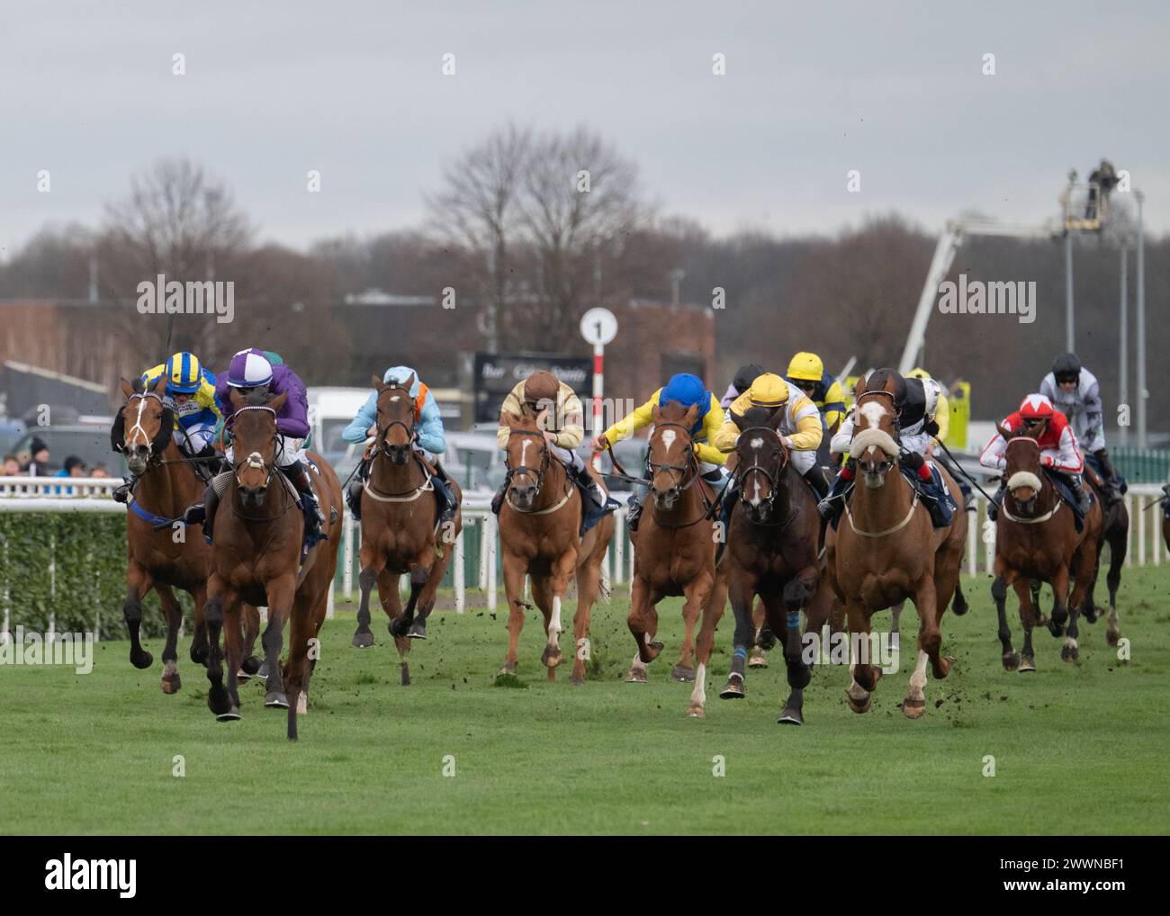 Mr Professor wins the William Hill Lincoln at Doncaster on 23 March 2024 for Dominic Ffrench Davis and David Egan Stock Photo