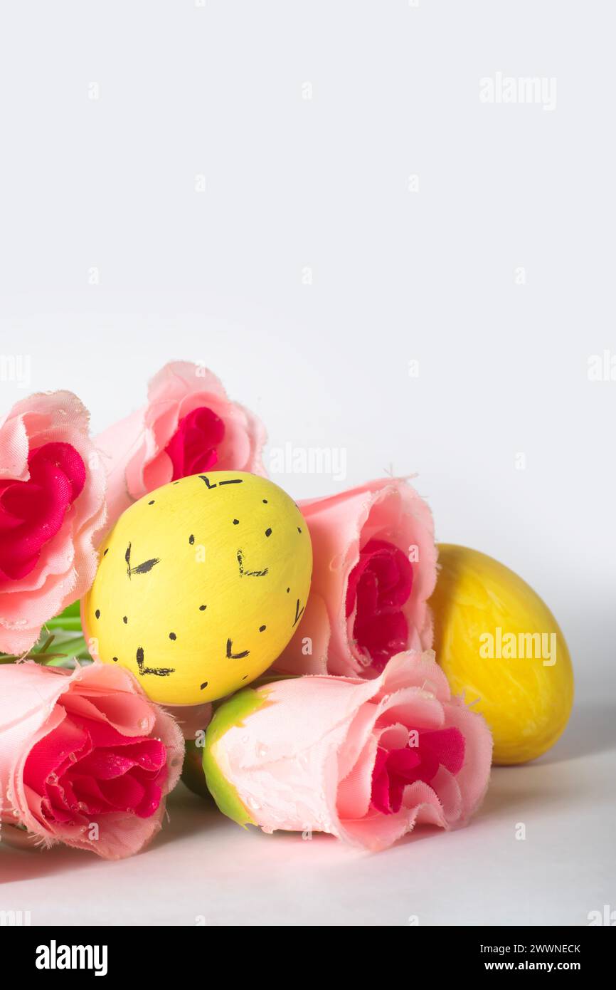 Easter eggs and pink rose flowers on a white background with space for ...