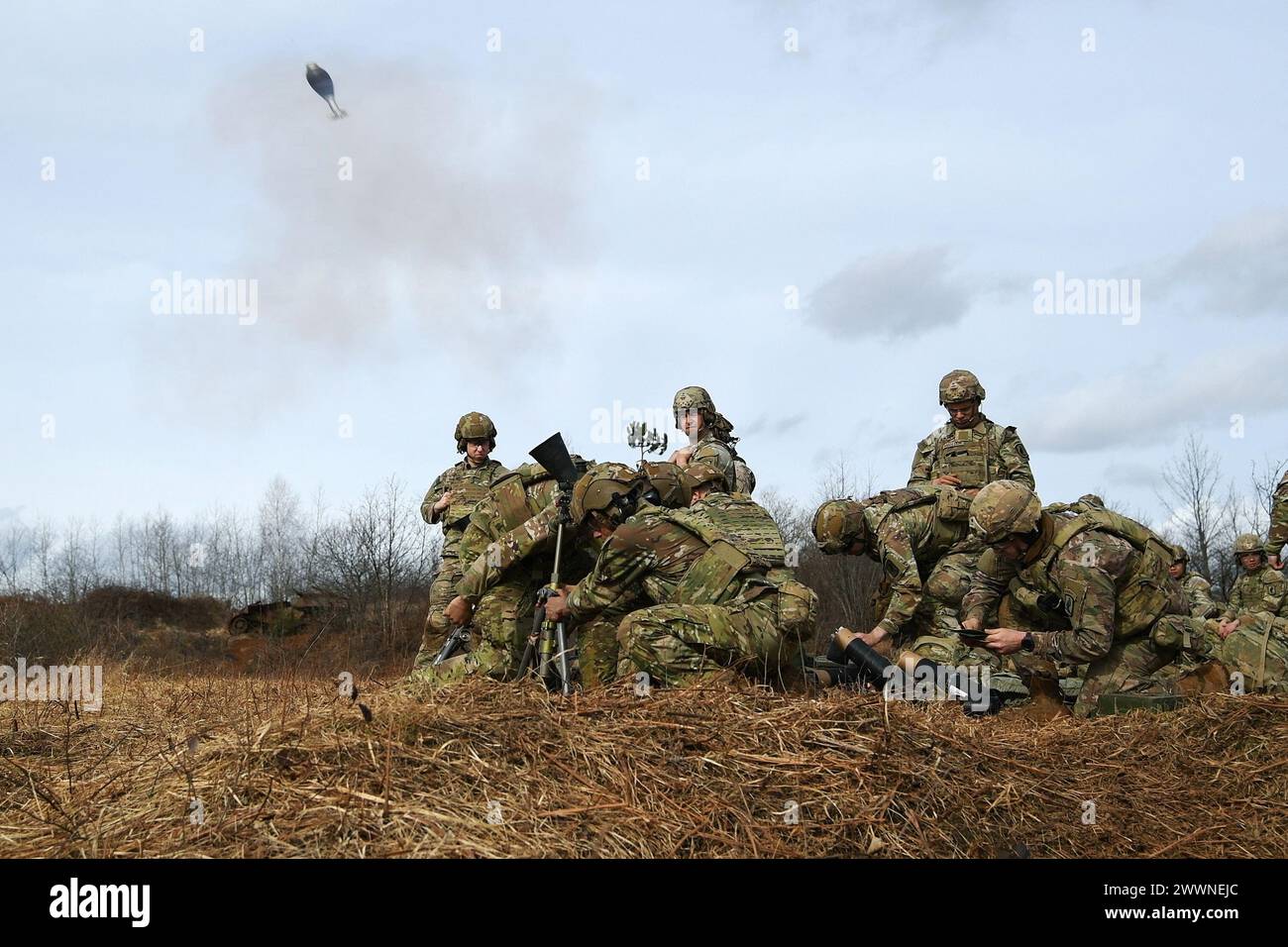 U.S. Army Paratroopers assigned to the 1st Battalion, 503rd Infantry Regiment, 173rd Airborne Brigade fire an  M252 81 mm mortar system during Eagle Ursa exercise at the training range in Slunj, Croatia, Feb. 24, 2024. The 173rd Airborne Brigade is the U.S. Army's Contingency Response Force in Europe, providing rapidly deployable forces to the United States European, African, and Central Command areas of responsibility. Forward deployed across Italy and Germany, the brigade routinely trains alongside NATO allies and partners to build partnerships and strengthen the alliance.  Army Stock Photo
