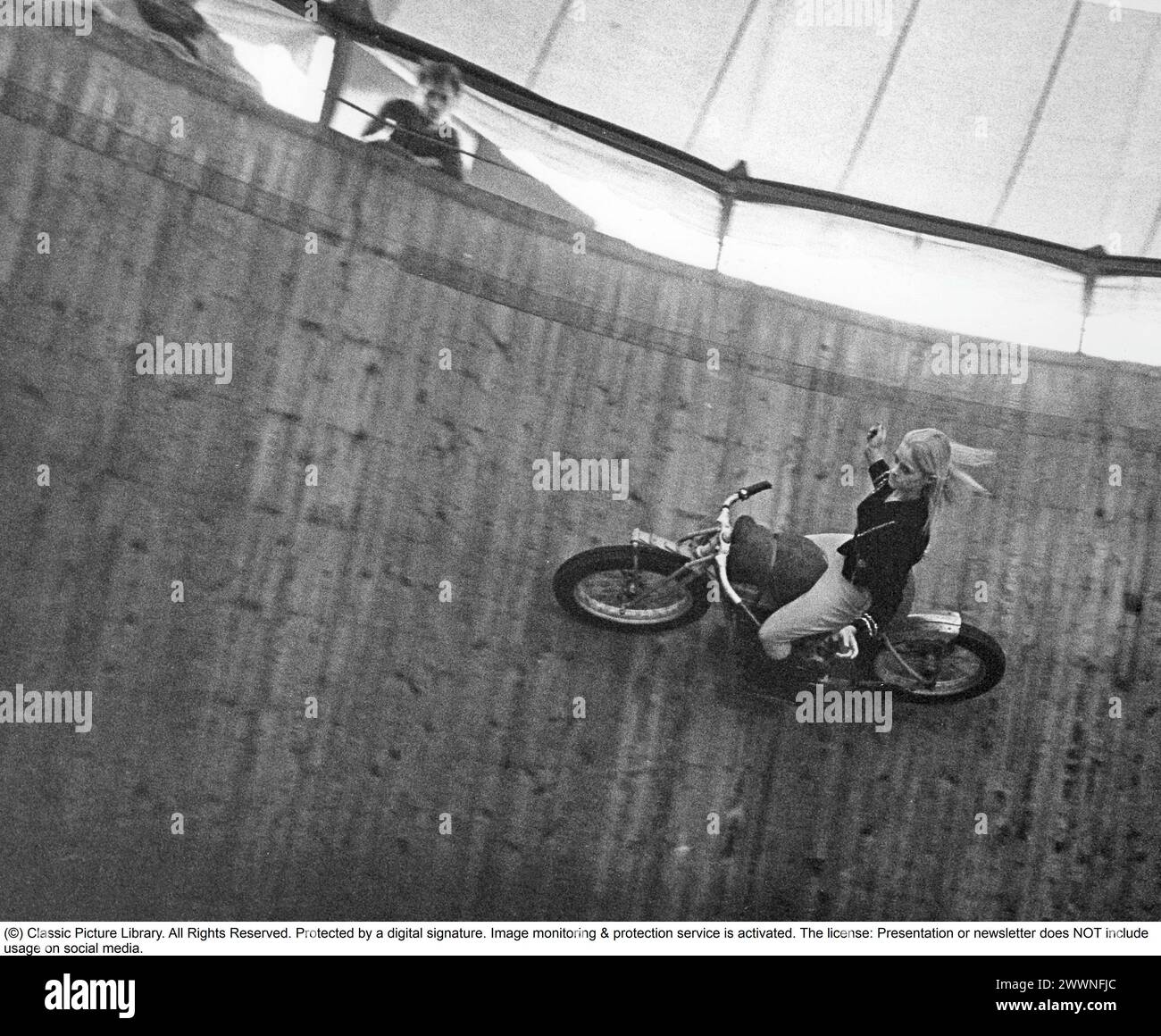 Wall of death 1967. The wall of death, motordrome, velodrome or well of death is a carnival sideshow featuring a silo- or barrel-shaped wooden cylinder, typically ranging from 20 to 36 feet (6.1 to 11.0 m) in diameter and made of wooden planks, inside which motorcyclists travel along the vertical wall and perform stunts, held in place by friction and centrifugal force. The original wall of death was in 1911 on Coney Island in the United States. Pictured a motorcyclist in high speed in the velodrome, showing off, with his hands in the air, not on the handlebars as he should.  Pictured Elisabeth Stock Photo