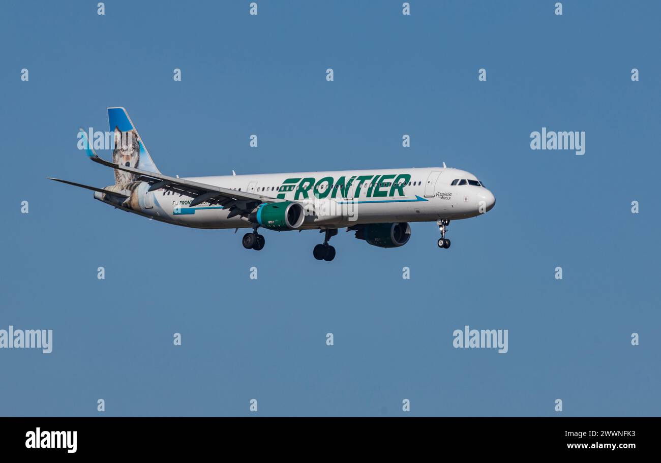 FORT MYERS, FLORIDA, USA - 27 FEB 2024. Frontier (Virginia the Wolf Livery) N704FR Airbus A321-211 landing at Southwest Florida International Airport Stock Photo