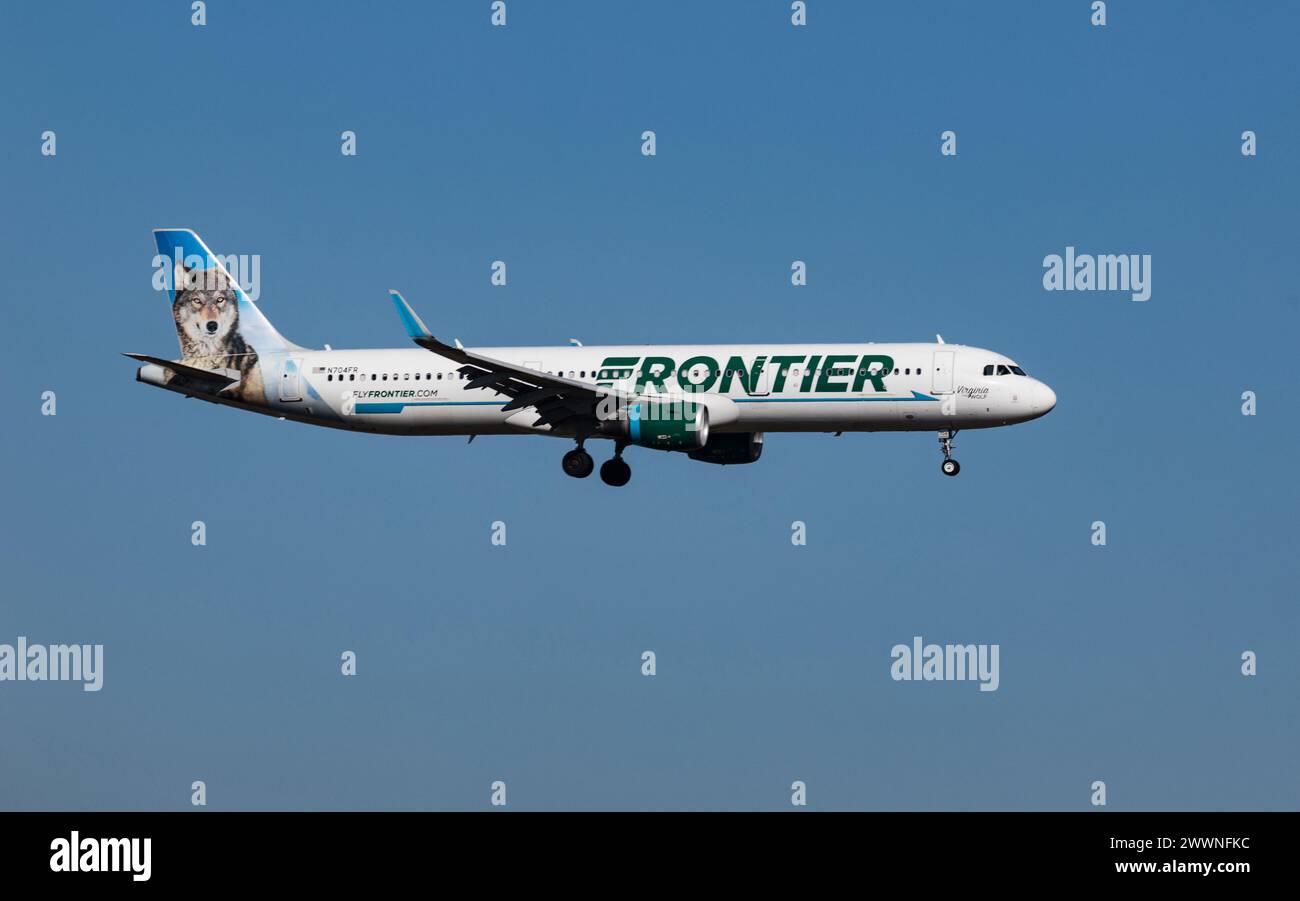 FORT MYERS, FLORIDA, USA - 27 FEB 2024. Frontier (Virginia the Wolf Livery) N704FR Airbus A321-211 landing at Southwest Florida International Airport Stock Photo