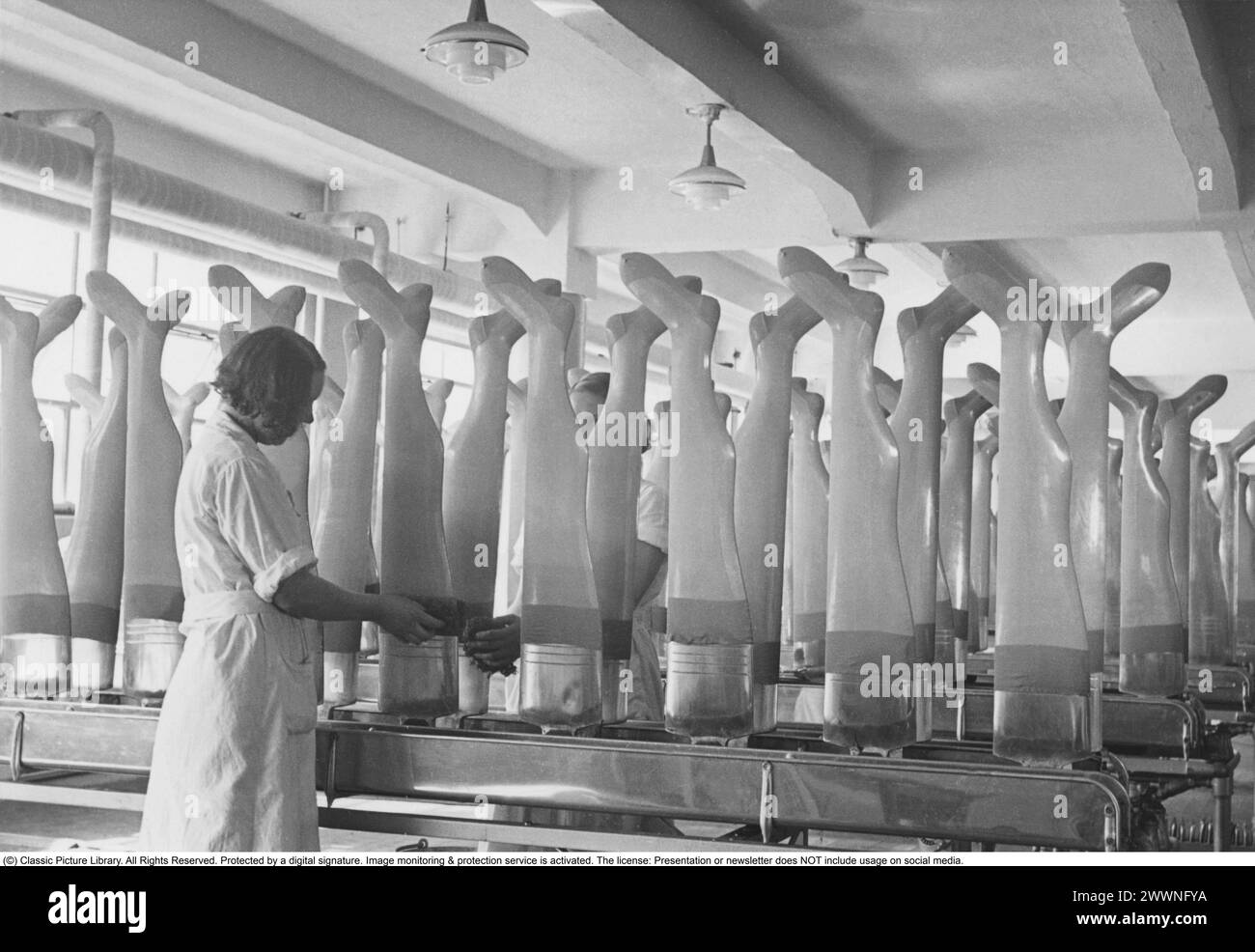 Aktiebolaget Malmö stocking factory 1942. The company was founded in 1926 by wholesaler Kurt Levin. The business grew quickly and the factory was the first in Sweden to produce natural silk socks. Their brands such as Nivella and Vogue were well-known products during the interwar period of the 1930s. When nylon was introduced in 1939, however, it took time for the product to spread due to the ongoing Second World War. The factory's own production of nylon stockings and later nylon trousers took off in the early 1950s and the company developed the nylon stocking and acquired new machines for th Stock Photo