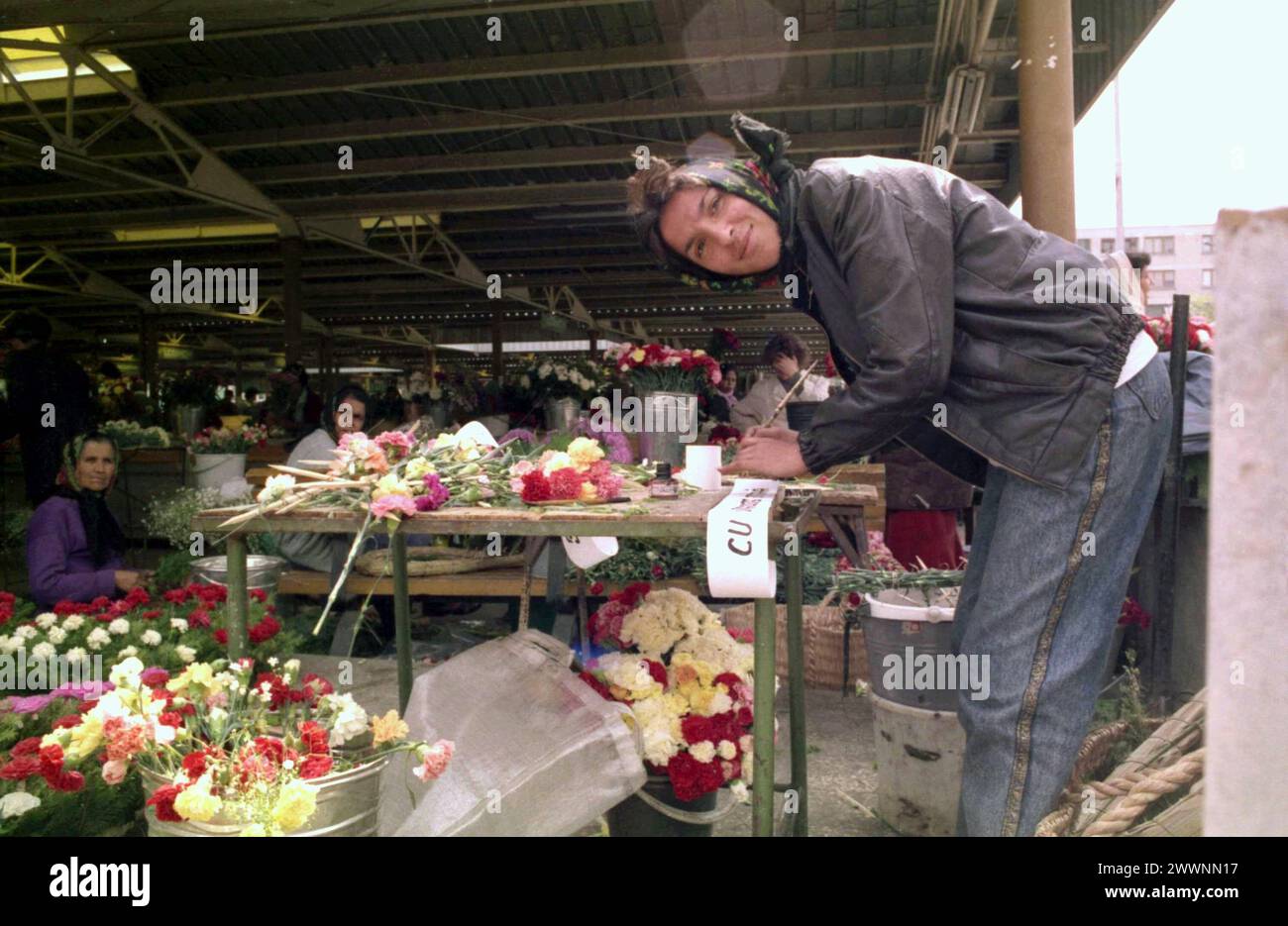 Ploiesti, Romania, approx. 1990.  A gypsy (rroma) woman selling fresh flowers and funeral wreaths at the market and handwriting a condolence ribbon. Stock Photo