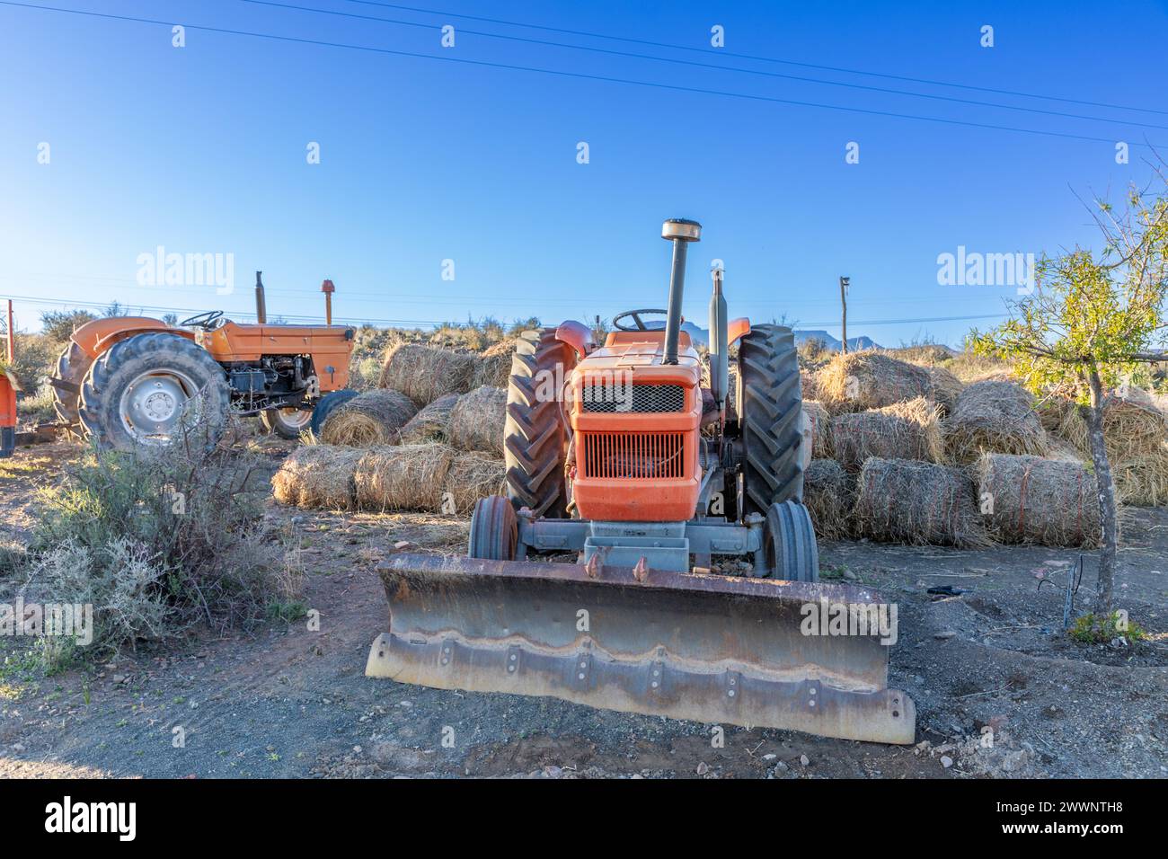 Rural farm landscape with tractors and rolled hay bales stacked behind one of the tractors. Stock Photo