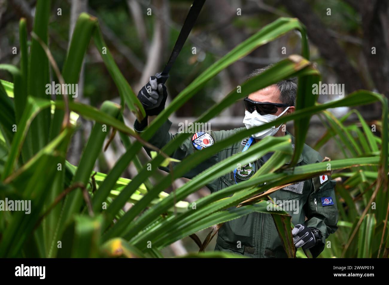 A Japan Air Self-Defense Force Airman conducts Tropical Survival ...