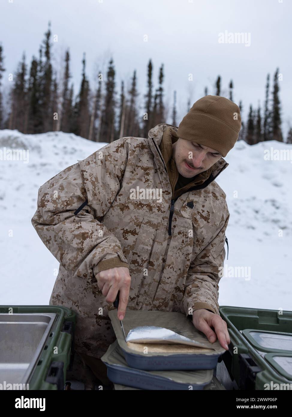 U.S. Marine Corps Sgt. Andrew Wood, a food service specialist with Fox Battery, 2nd Battalion, 14th Marine Regiment, 4th Marine Division, Marine Forces Reserve prepares chow for Marines in support of exercise Arctic Edge 2024 (AE24) on Eielson Air Force Base, Alaska, Feb. 23, 2024. Wood served as the only food service specialist for the duration of the exercise. AE24 is a U.S. Northern Command-led homeland defense exercise demonstrating the U.S. military’s capabilities in extreme cold weather, joint force readiness, and U.S. military commitment to mutual strategic security interests in the arc Stock Photo