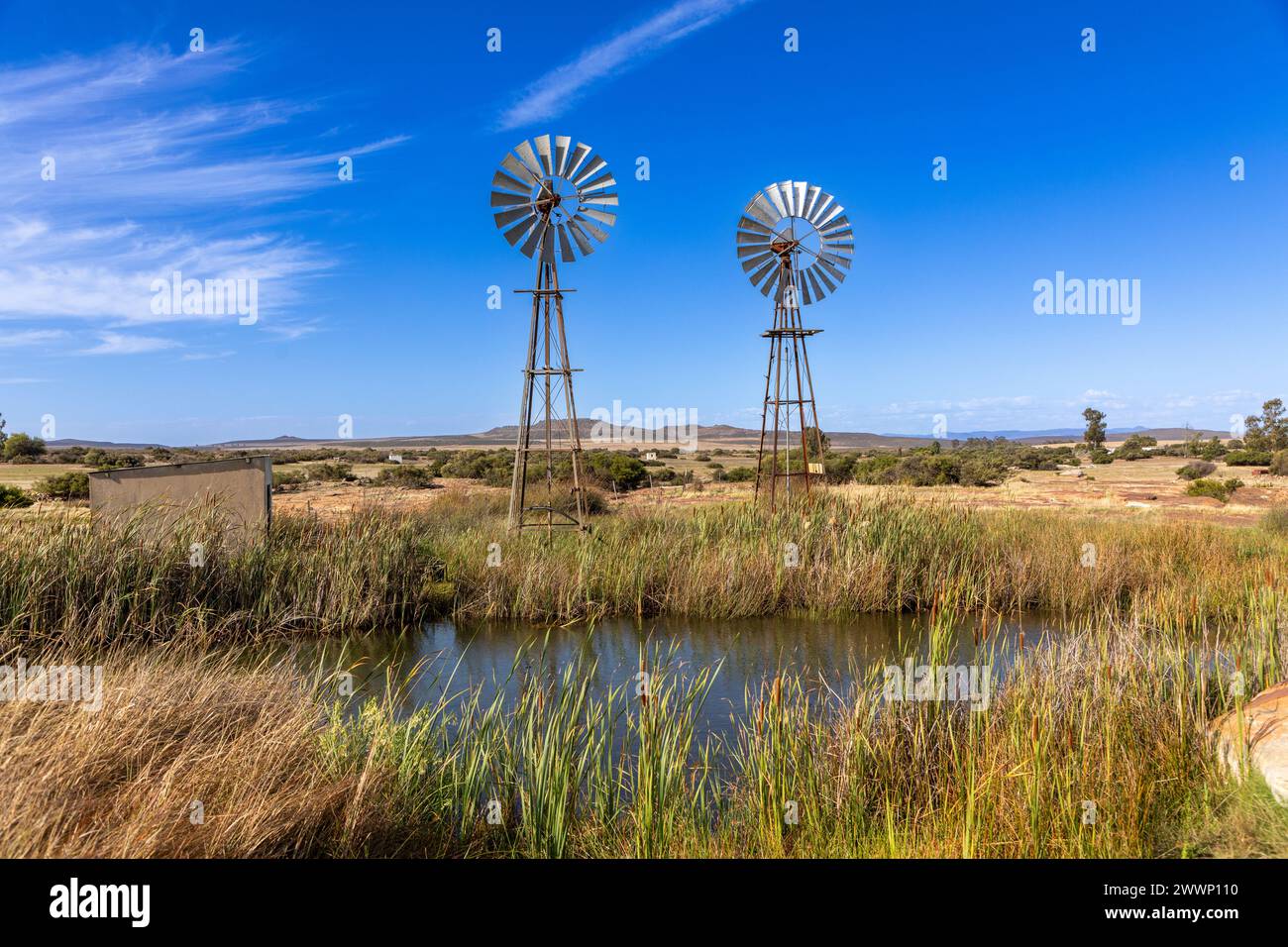 Two old school metal windmills in the semi arid Karoo area of South Africa.  In the foreground is a large pool of water from the windmills. Stock Photo
