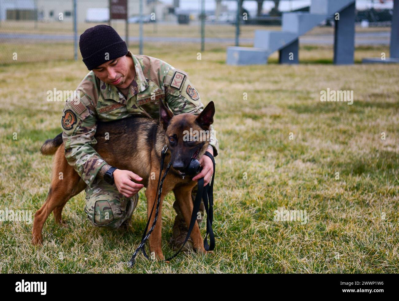 U.S. Air Force Staff Sgt. Edwin Argueta-Hernandez, Military Working Dog (MWD) Trainer, 436th Security Forces Squadron, and Tako, MWD Drug Detector assigned to the squadron, rest post-training at Dover Air Force Base, Feb. 23, 2024. Certified MWDs contribute to security measures against narcotics. Tako's training encompasses the detection of heroin, marijuana, and methamphetamine.  Air Force Stock Photo