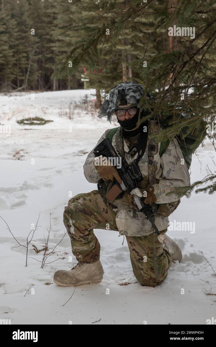 A U.S. Soldier, assigned to 1st Battalion, 24th Infantry Regiment, 1st Infantry Brigade Combat Team, 11th Airborne Division, pulls security during Joint Pacific Multinational Readiness Center 24-02 at Donnelly Training Area, Alaska, Feb. 19, 2024. JPMRC 24-02, executed in Alaska with its world-class training facilities and its harsh Arctic environment, builds Soldiers and leaders into a cohesive team of skilled, tough, alert, and adaptive warriors capable of fighting and winning anywhere in the world.  Army Stock Photo