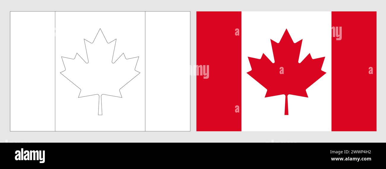 canada-flag-coloring-page-set-of-white-wireframe-thin-black-outline-flag-and-original-colored-flag-stock-vector-image-art-alamy