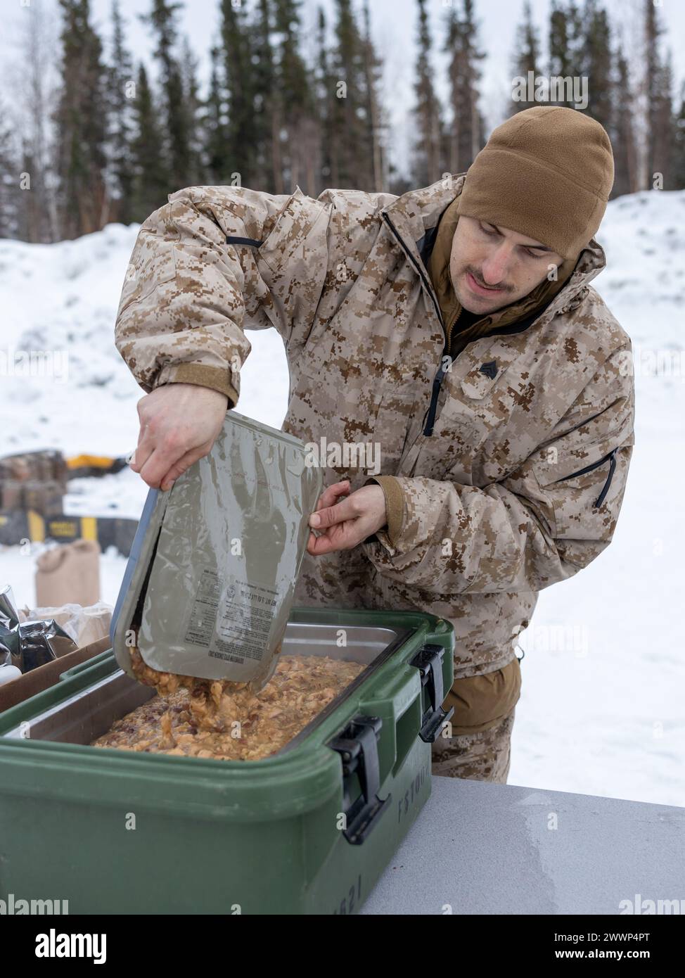 U.S. Marine Corps Sgt. Andrew Wood, a food service specialist with Fox Battery, 2nd Battalion, 14th Marine Regiment, 4th Marine Division, Marine Forces Reserve prepares chow for Marines in support of exercise Arctic Edge 2024 (AE24) on Eielson Air Force Base, Alaska, Feb. 23, 2024. Wood served as the only food service specialist for the duration of the exercise. AE24 is a U.S. Northern Command-led homeland defense exercise demonstrating the U.S. military’s capabilities in extreme cold weather, joint force readiness, and U.S. military commitment to mutual strategic security interests in the arc Stock Photo