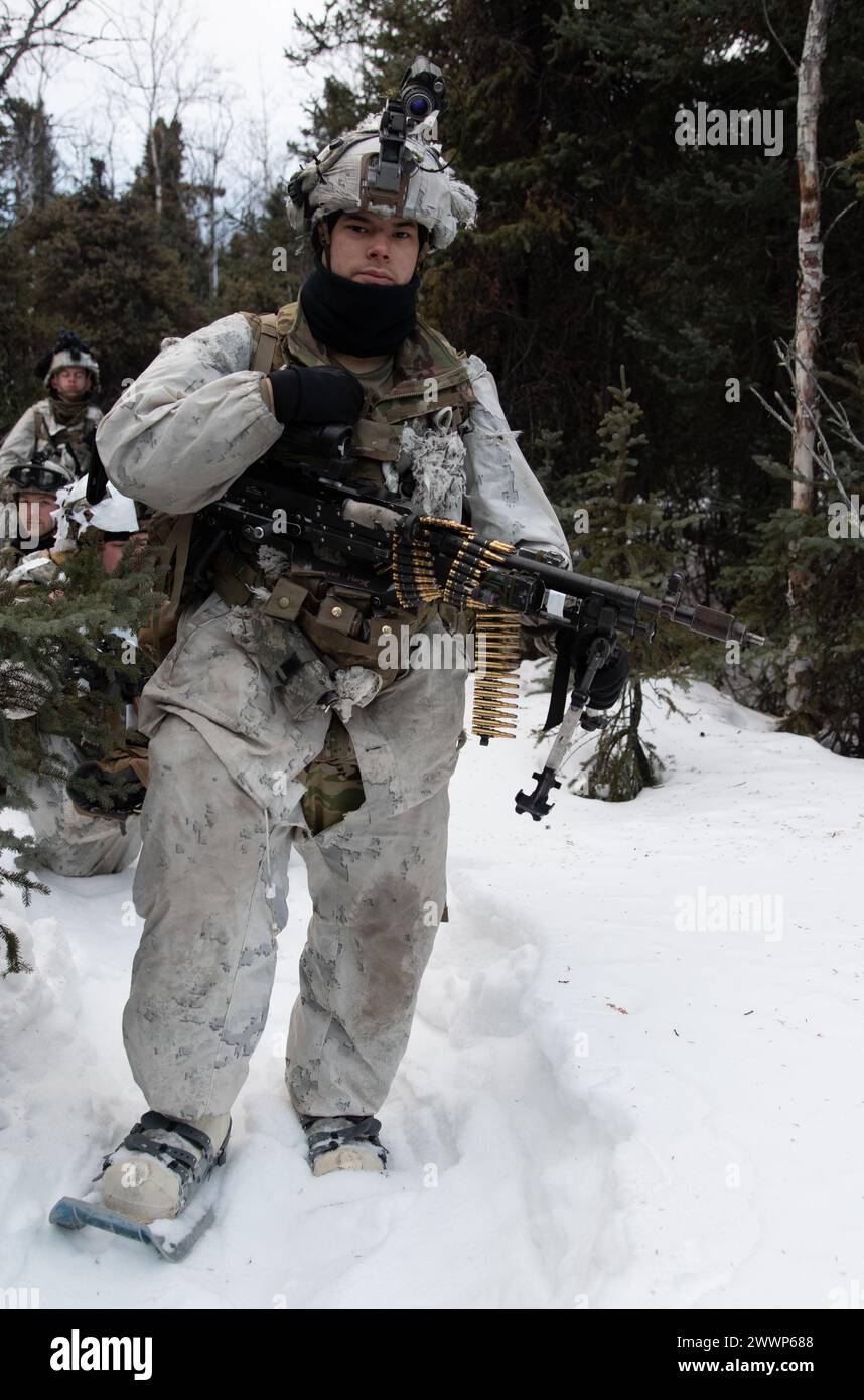 A U.S. Soldier, assigned to 1st Battalion, 24th Infantry Regiment, 1st Infantry Brigade Combat Team, 11th Airborne Division, briefly halts during a patrol as part of Joint Pacific Multinational Readiness Center 24-02 at Donnelly Training Area, Alaska, Feb. 19, 2024. JPMRC 24-02, executed in Alaska with its world-class training facilities and its harsh Arctic environment, builds Soldiers and leaders into a cohesive team of skilled, tough, alert, and adaptive warriors capable of fighting and winning anywhere in the world.  Army Stock Photo