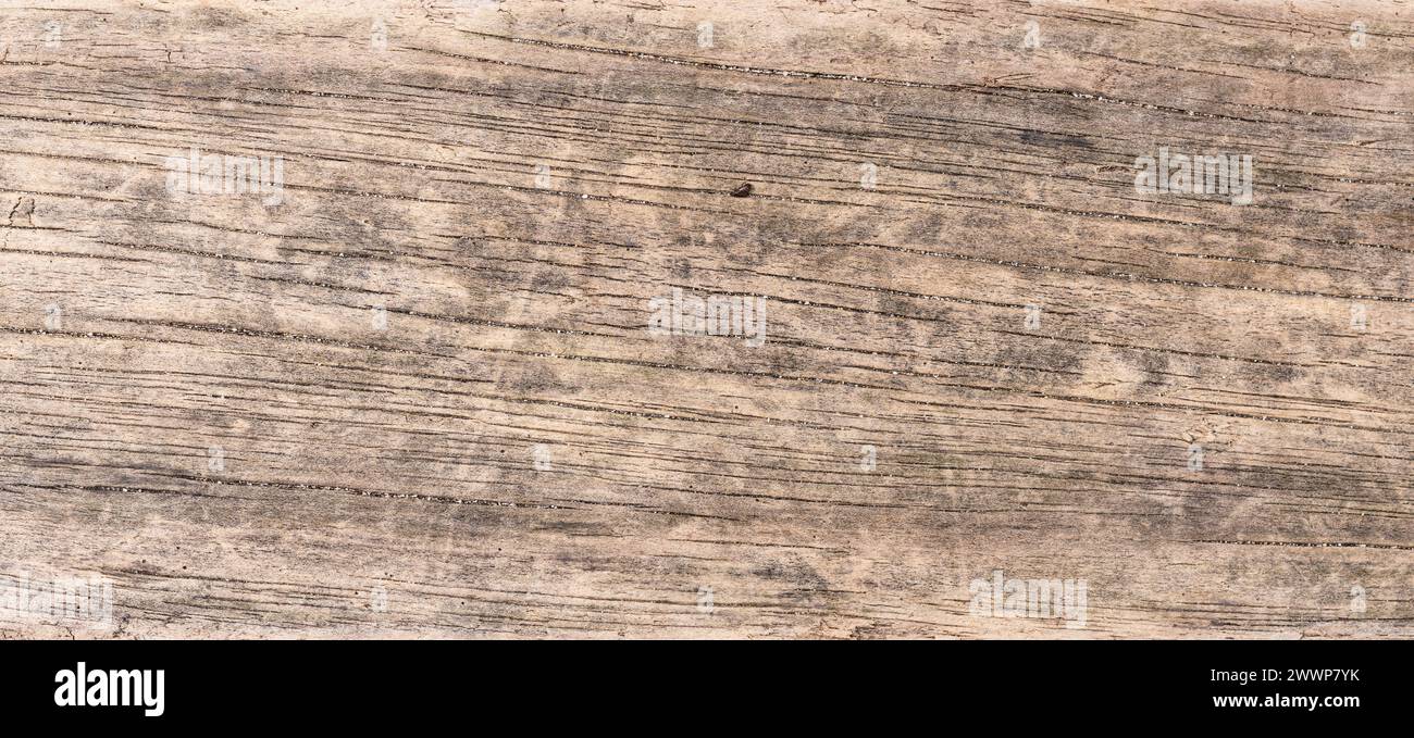 Driftwood abstract background texture. Full frame Stock Photo