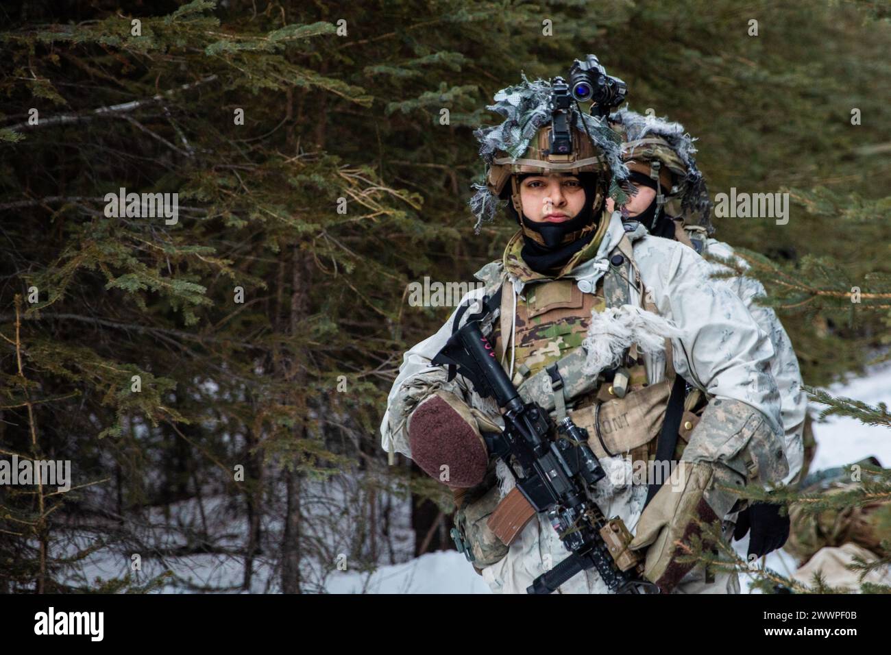 A U.S. Soldier, assigned to 1st Battalion, 5th Infantry Regiment, 1st Infantry Brigade Combat Team, 11th Airborne Division, pushes forward through a forest during Joint Pacific Multinational Readiness Center 24-02 at Donnelly Training Area, Alaska, Feb. 17, 2024. A company of soldiers moved uphill through the woods toward an exercise objective with possible simulated enemy forces in the area. JPMRC 24-02, executed in Alaska with its world-class training facilities and its harsh Arctic environment, builds Soldiers and leaders into a cohesive team of skilled, tough, alert, and adaptive warriors Stock Photo