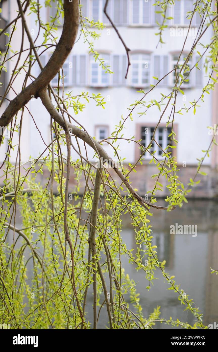 Strasbourg city Stock Photo