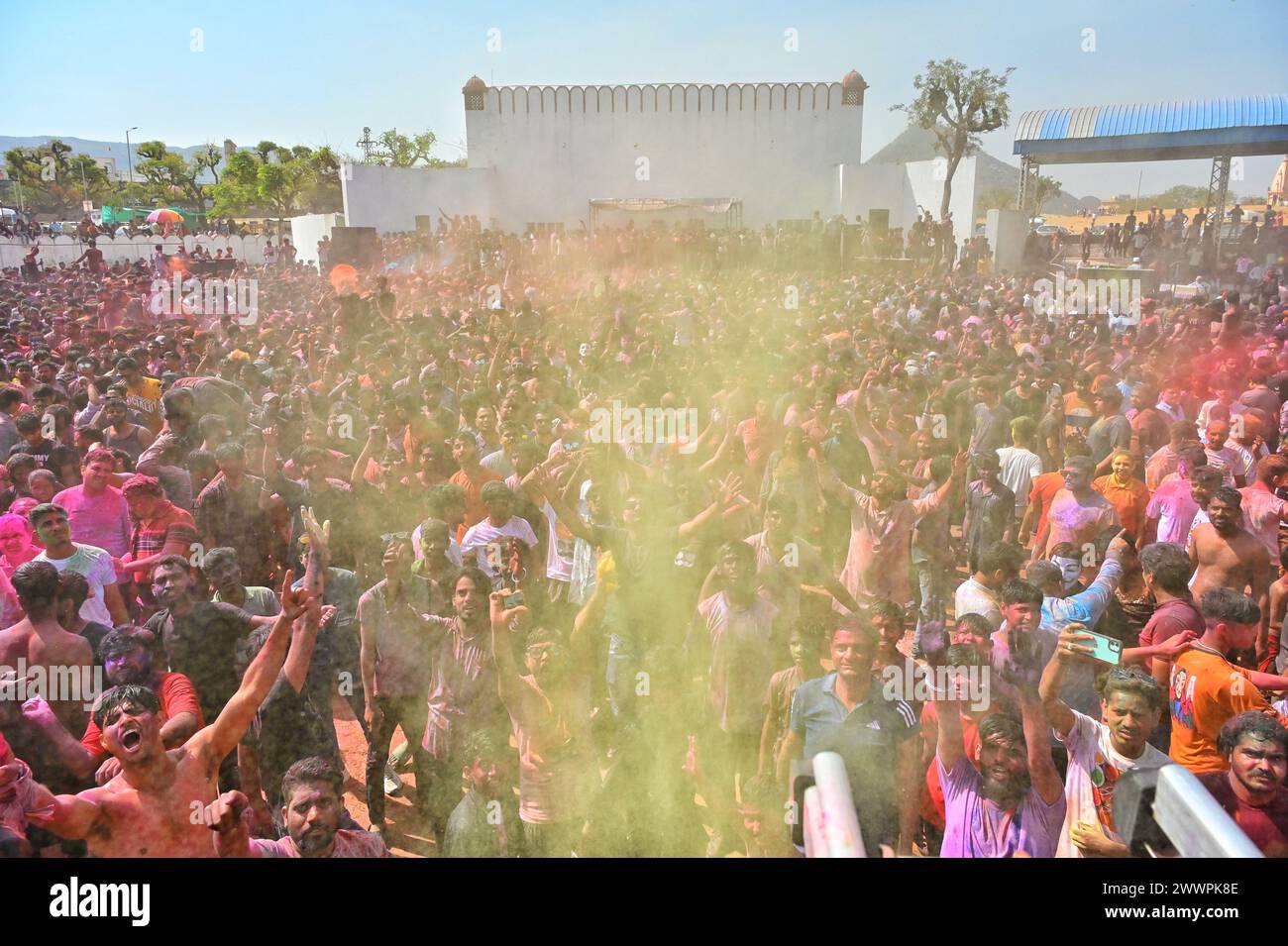celebrate holi in pushkar