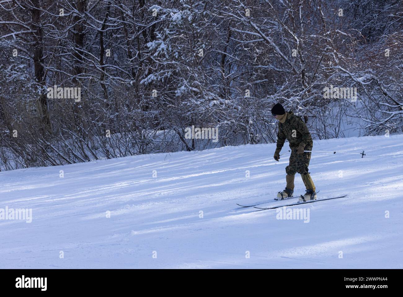 U.S. Marines Corps Lance Cpl. Grant Bulson skis downhill during Korea ...