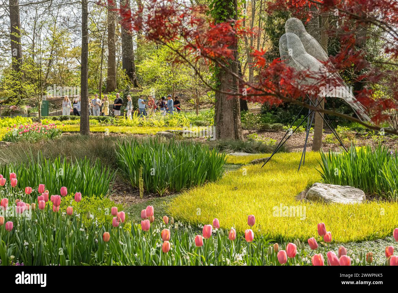 Springtime in the Anne Cox Chambers Southern Seasons Garden at the Atlanta Botanical Garden in Midtown Atlanta, Georgia. (USA) Stock Photo